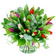 Valentine's Day flowers and roses - Spring mixed bouquet of tulips in red, pink and purple