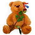 Valentijn knuffels - Hug bear with a red rose